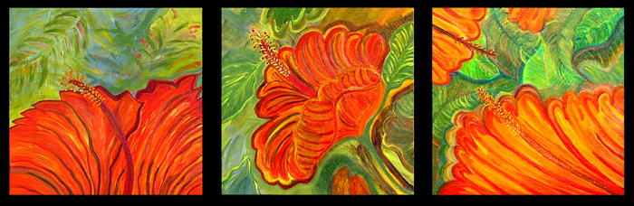Hibiscus